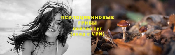 спайс Лиски