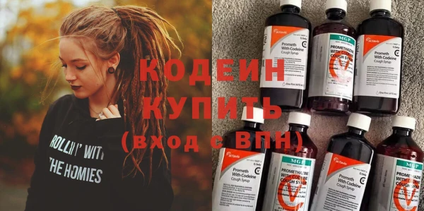 спиды Пересвет