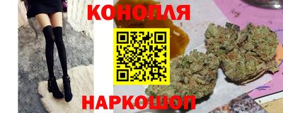 сатива Аргун