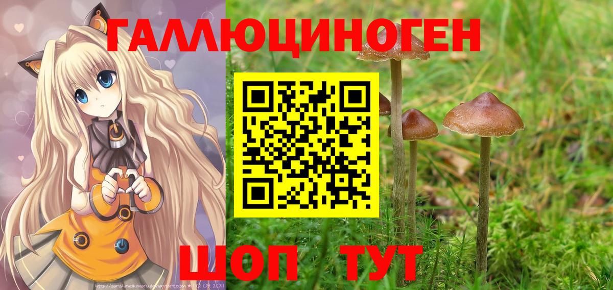 Галлюциногенные грибы прущие грибы  Псилоцибиновые грибы мухоморы  Вход с VPN  Кострома 