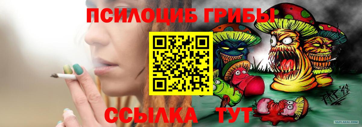 Псилоцибиновые грибы Cubensis  Кострома 