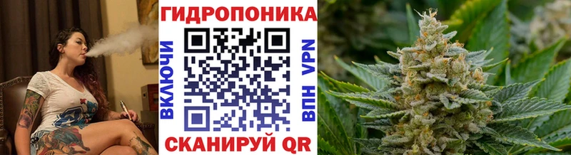 купить   Кострома  Марихуана Amnesia 
